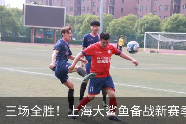 三场全胜！上海大鲨鱼备战新赛季的得与失